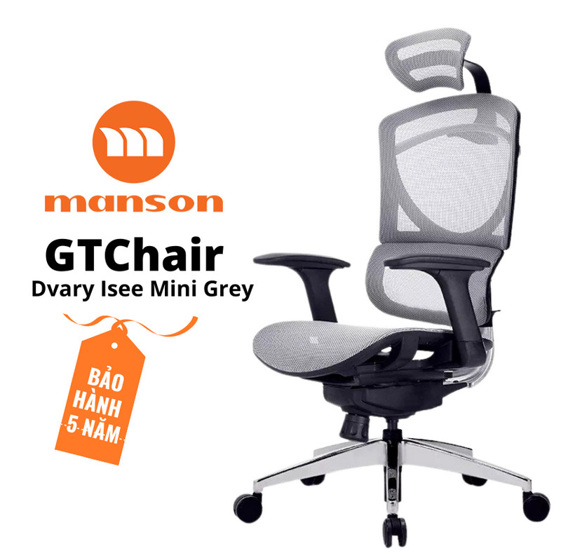 Ghế c&ocirc;ng th&aacute;i học GTChair I-See M